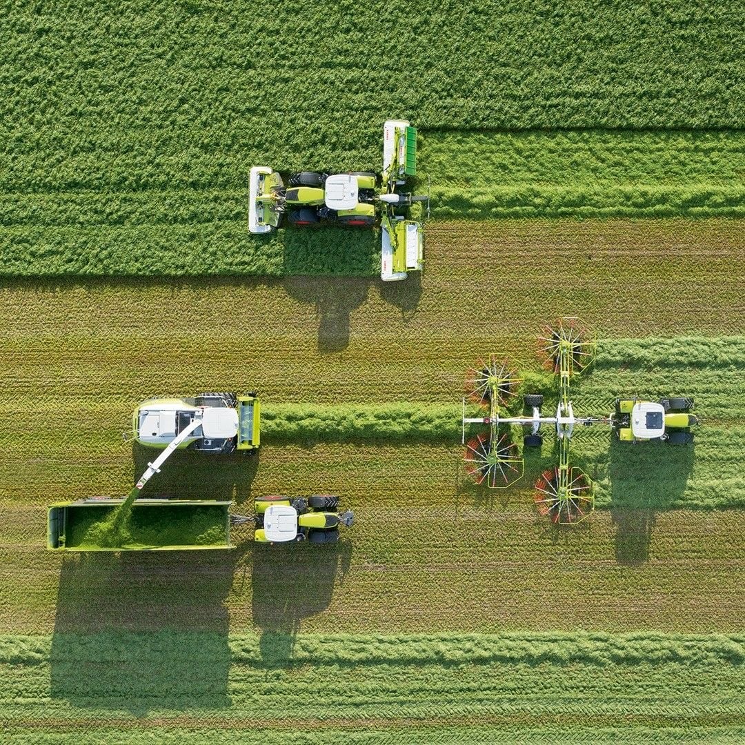 Perchè investire in terreni agricoli quando tutti scelgono Guadagni Rapidi online?