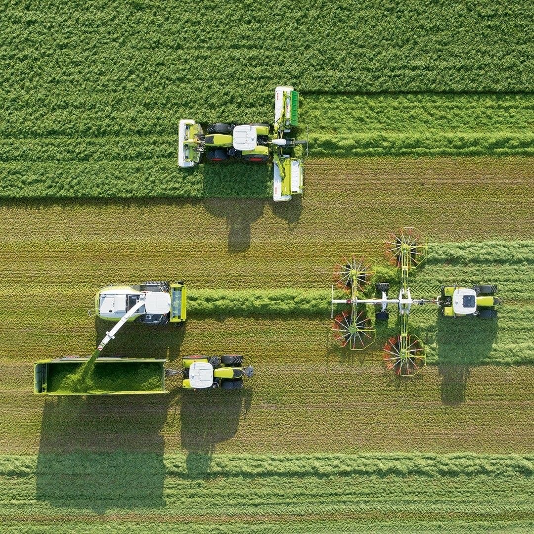 Perchè investire in terreni agricoli quando tutti scelgono Guadagni Rapidi online?